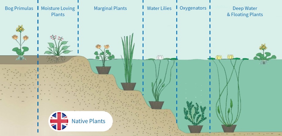 Pond Plants Selector