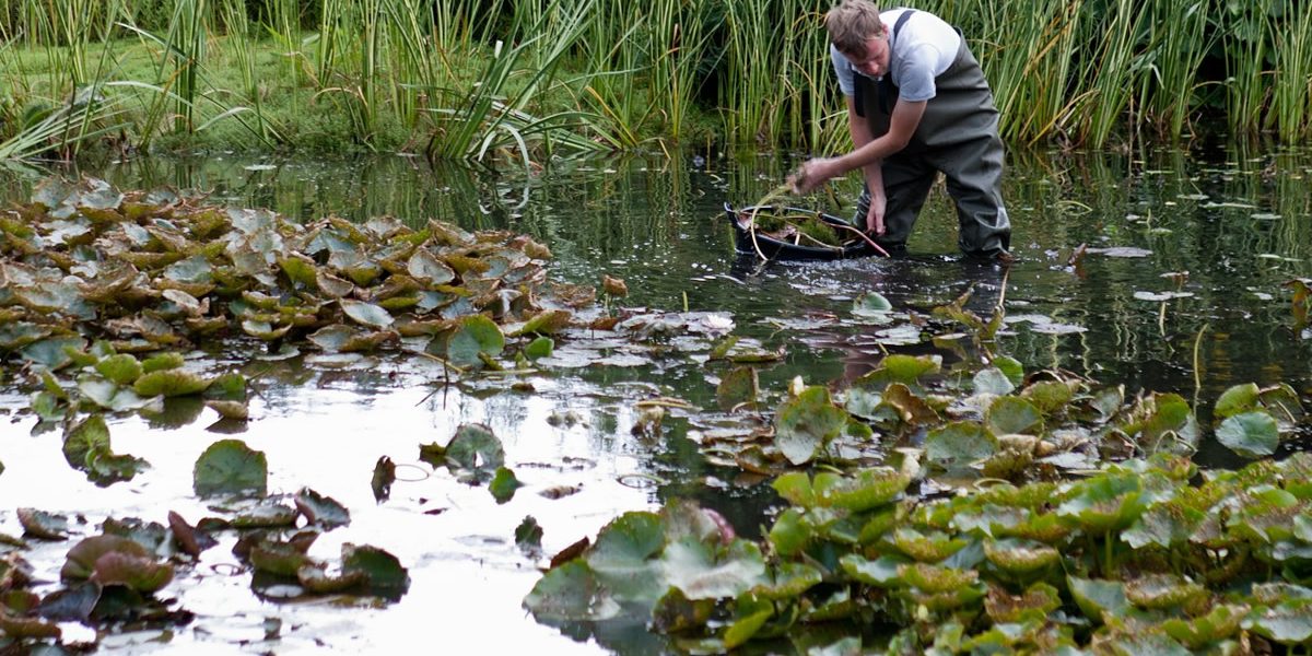 spring cleaning pond spring cleaning pond