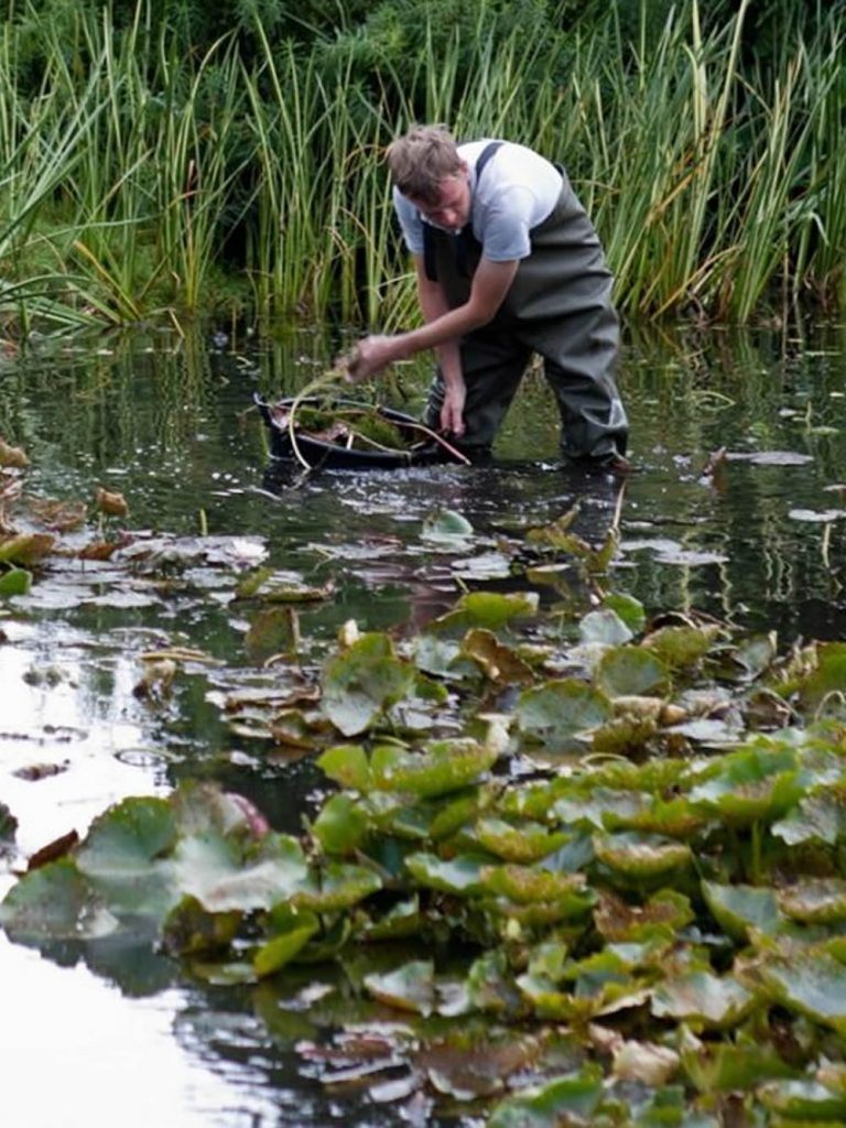 Blanket Weed Control Devon Pond Plants