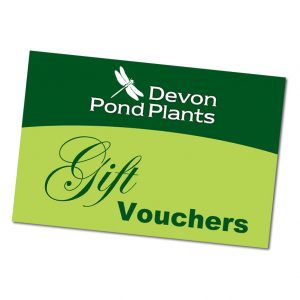 UK pond plants gift vouchers