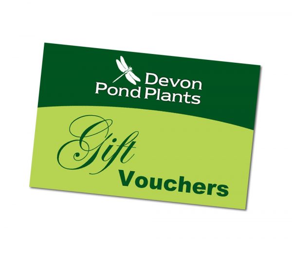 UK pond plants gift vouchers