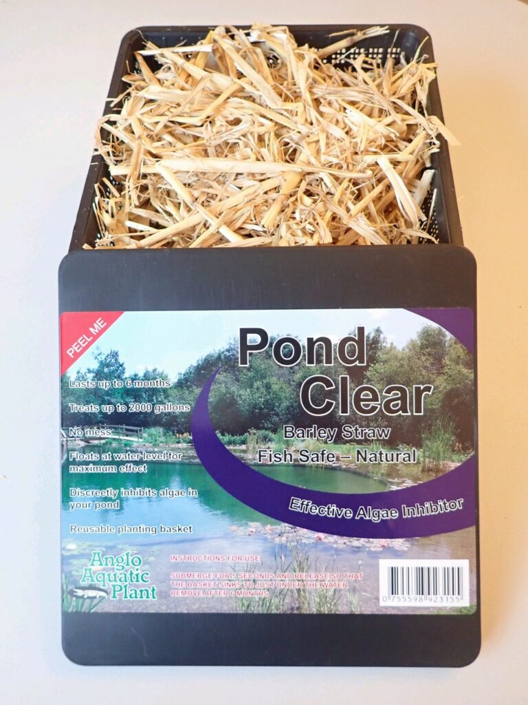 Barley Straw (Pond Clear) Pack Devon Pond Plants